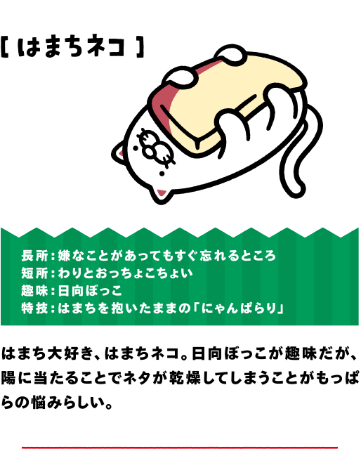 はまちネコ